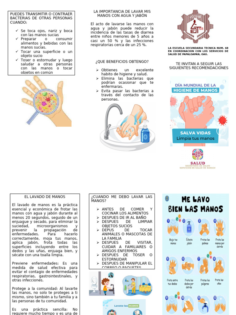 Importancia del Lavado de Manos | PDF | Lavado de manos | Medicina