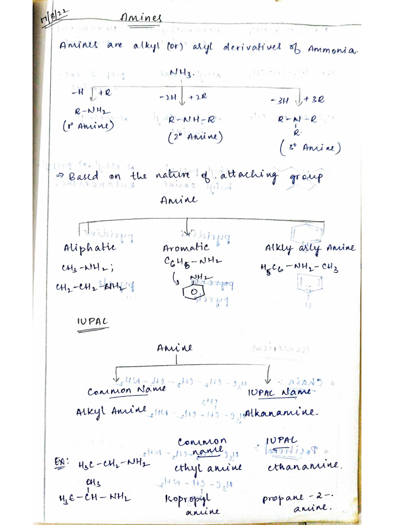 Amines Notes | PDF