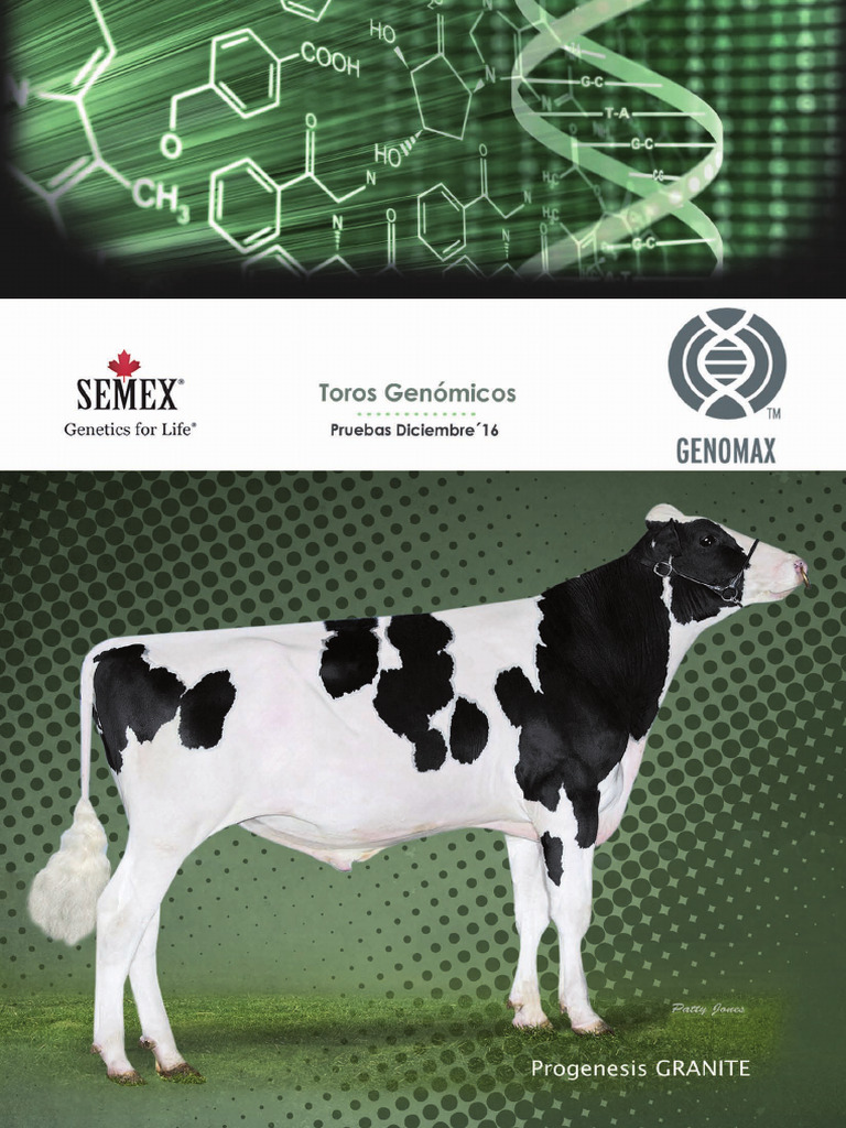 Catalogo Semex | PDF