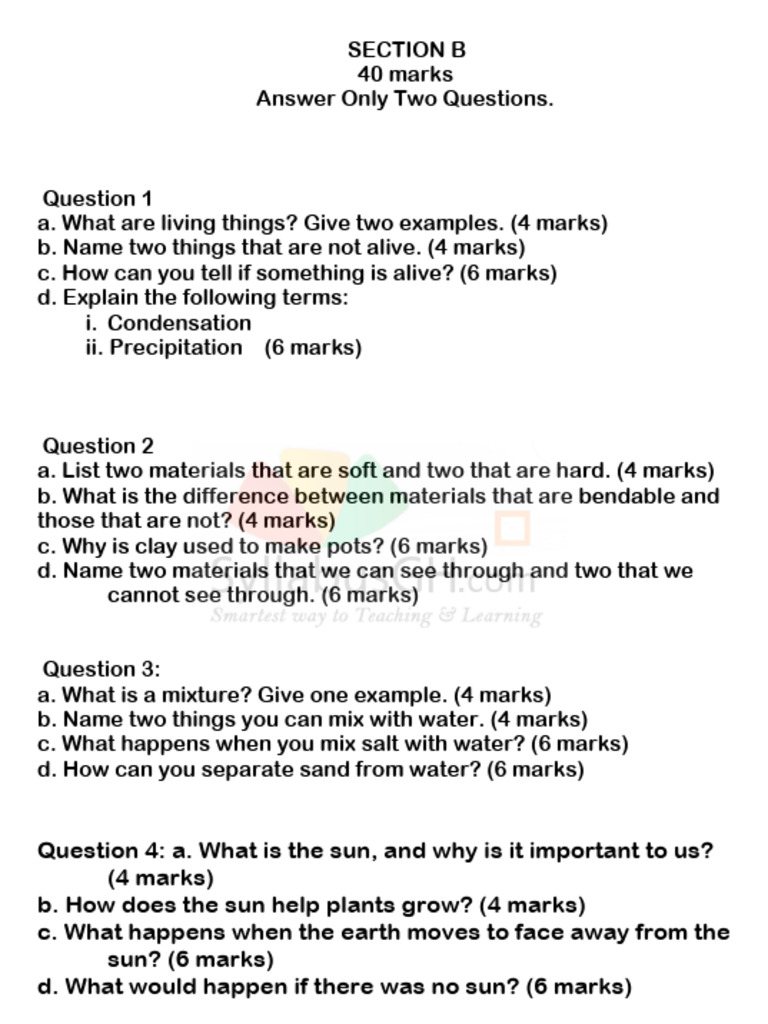 2025 B5 End of Term 1 - Science (B) | PDF