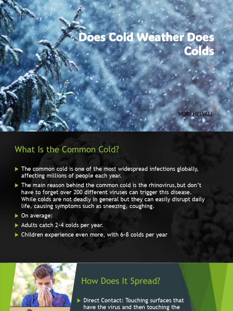 Understanding Colds and Cold Weather | PDF | Common Cold | Virology