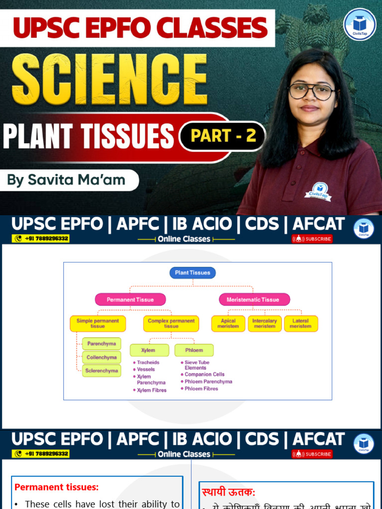 Science Plant Tissues Part-2 10-10-24 | PDF