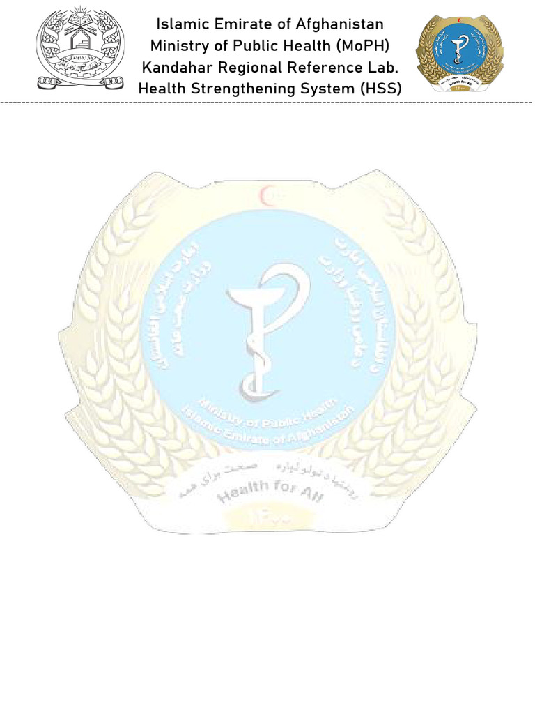 Doc1 A5 | PDF