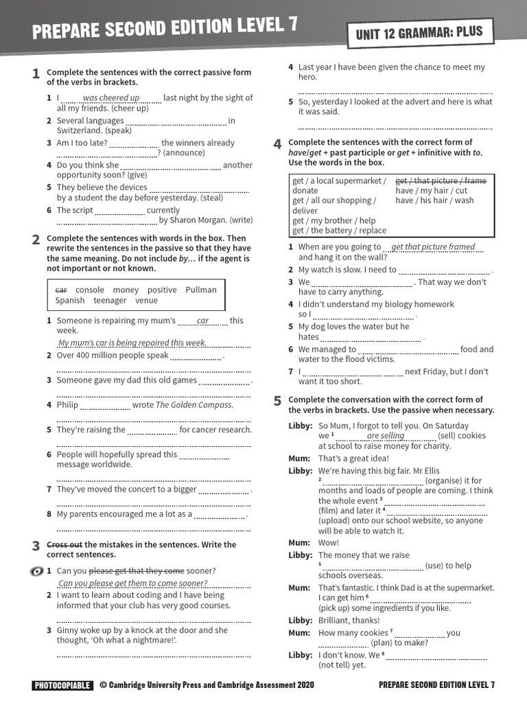 Level 7 Grammar Plus Exercises | PDF | Linguistic Morphology | Linguistics