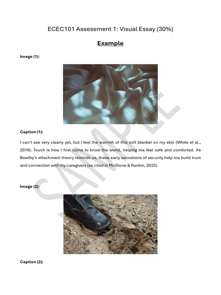 EXAMPLE - ECEC101 Assessment 1 Visual Essay | PDF