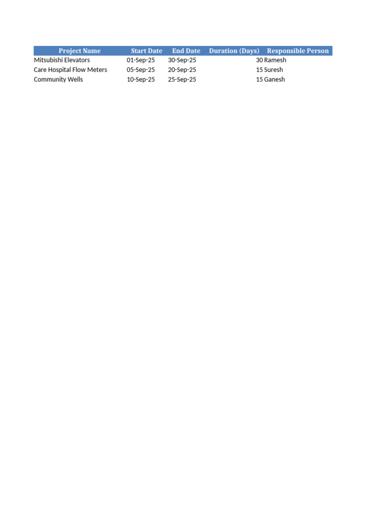 Professional Project Tracker | PDF