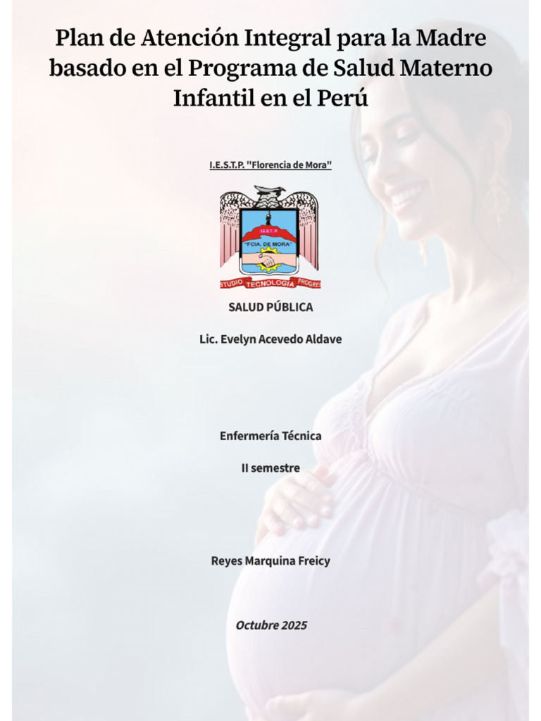 Plan Integral de Atención Materna en Perú | PDF | Salud maternal ...