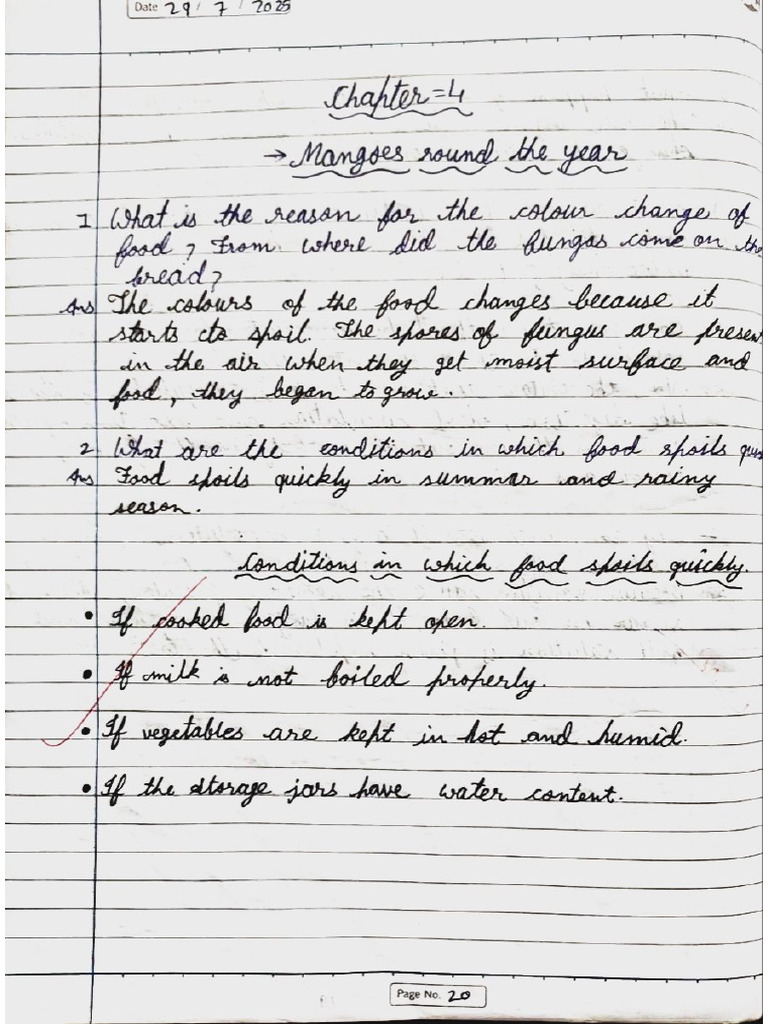 5th Class EVS Notes (Chapter 4,5,6) | PDF