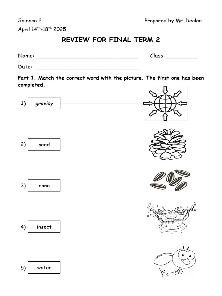 Final Term 2 Science Review Worksheet | PDF