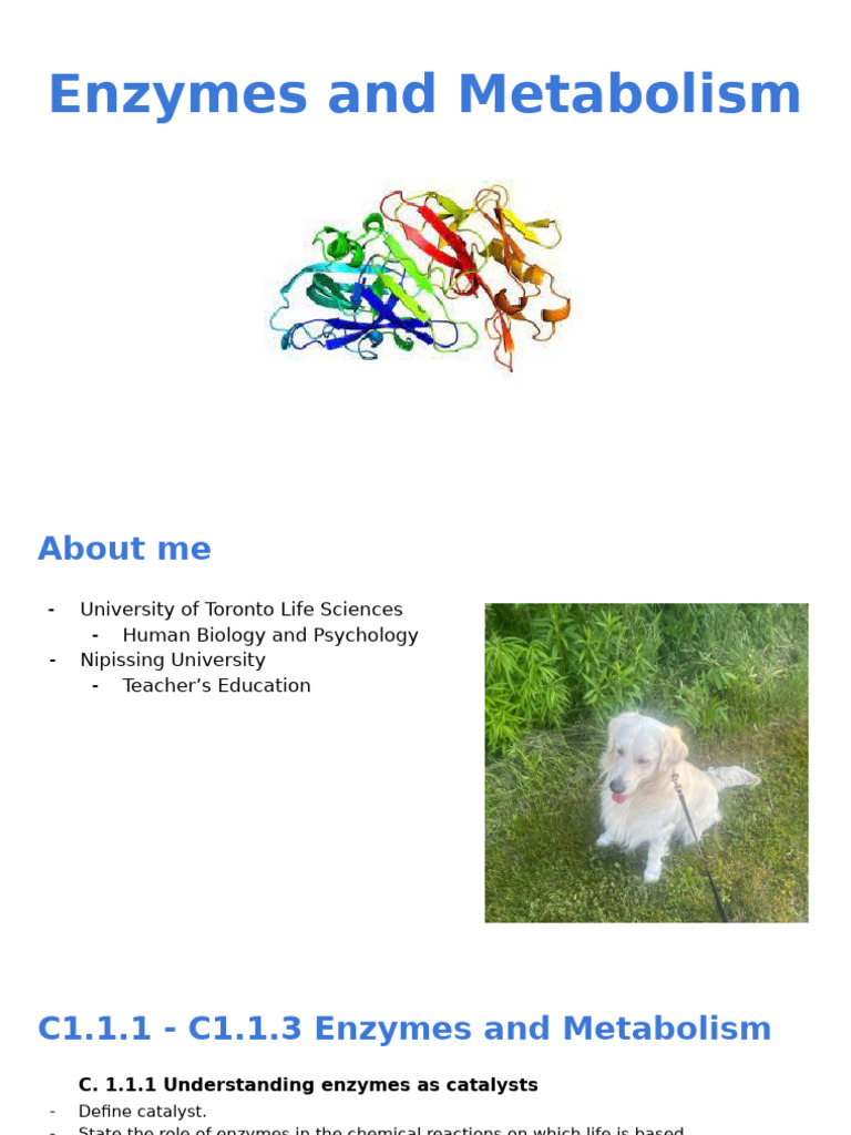 Enzymes and Metabolism C1.1.1 - C1.1.5, C1.1.10 | PDF | Enzyme | Metabolism