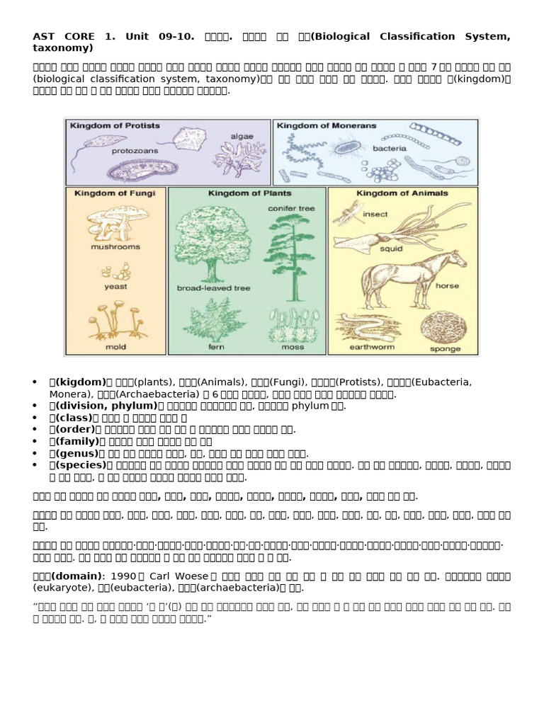 Ast Core 1 09-10 참고자료 | PDF