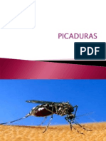 PICADURAS