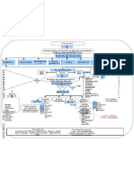 Mapa Conceptual Toxicologia