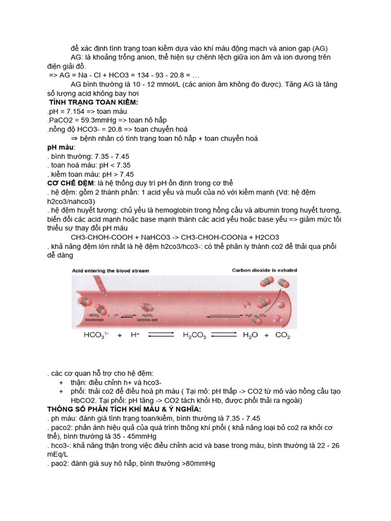 Hoá Sinh HH | PDF