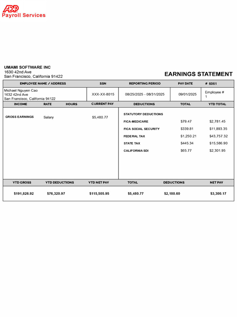 Employee Earnings Statement Summary | PDF