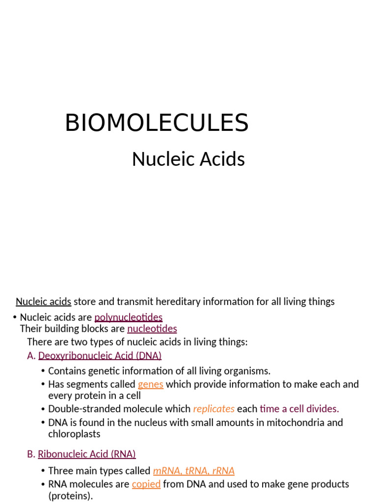 CHE312 Biomolecules Nucleic Acids PDF Dna Nucleic Acids