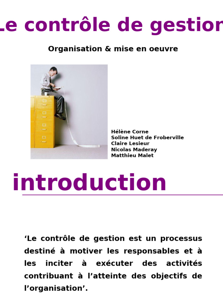 Contrôle de Gestion et Performance | PDF | Business | Audit