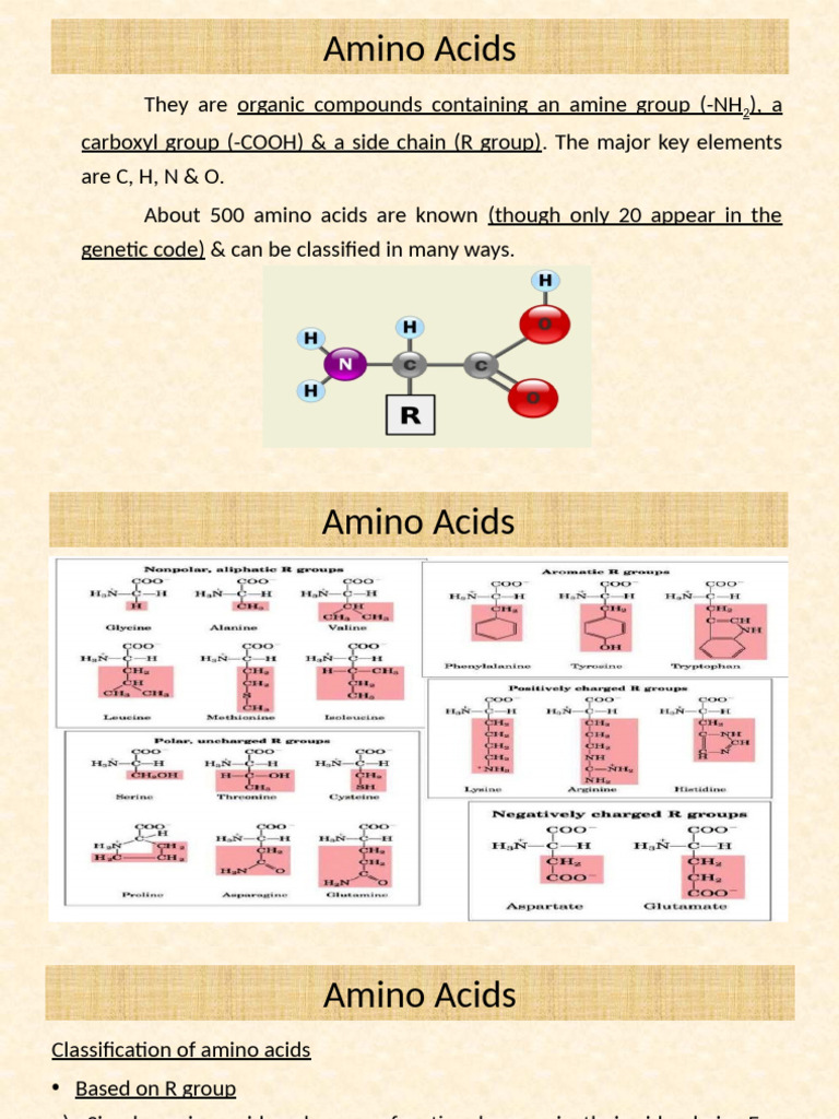 Comprehensive Guide to Amino Acids | PDF | Lipoprotein | Amino Acid