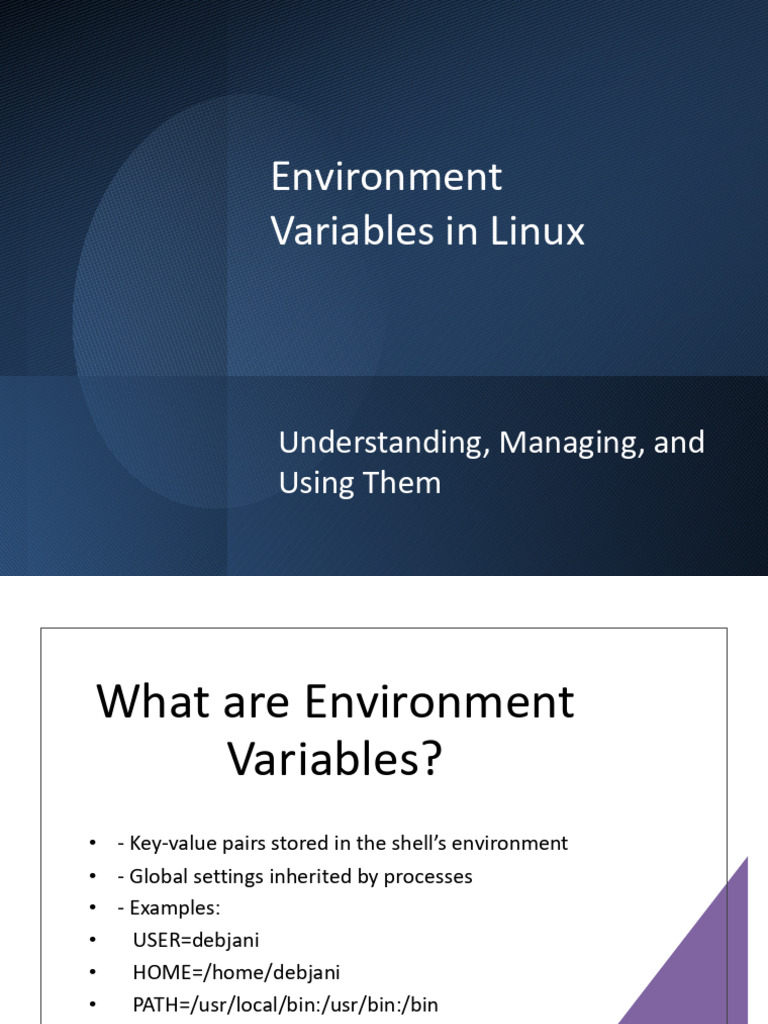 Managing Environment Variables in Linux | PDF