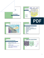 Clase Bacteriologia Morfologia y Estructura Bacteriana 2