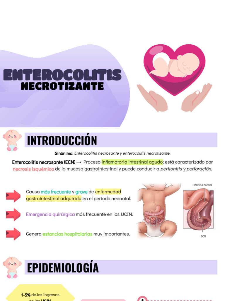 Enterocolitis Necrosante en Neonatos | PDF | Sistema digestivo ...