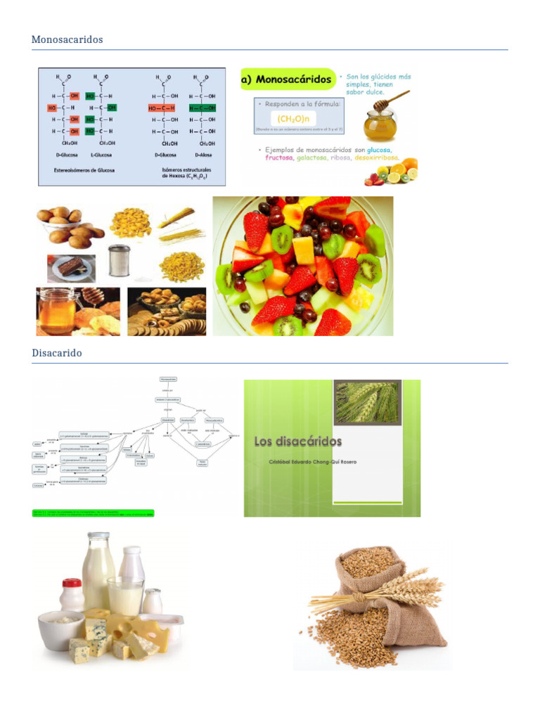 Album Biomoleculas Organicas, Carbohidratos Monosocarios Enzimas ...