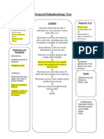 Advanced Pa Tho Physiology Tree - Cellulitis