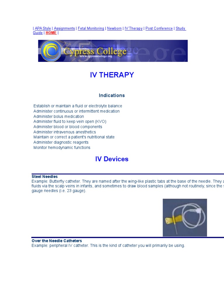 IV Therapy Essentials for Healthcare Professionals | PDF | Intravenous ...