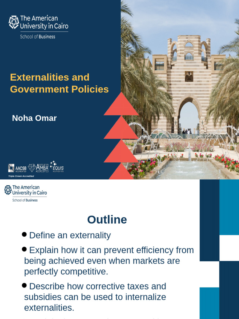 CH 3 Externalities and Government Policies-23 Sept 2023 | PDF ...
