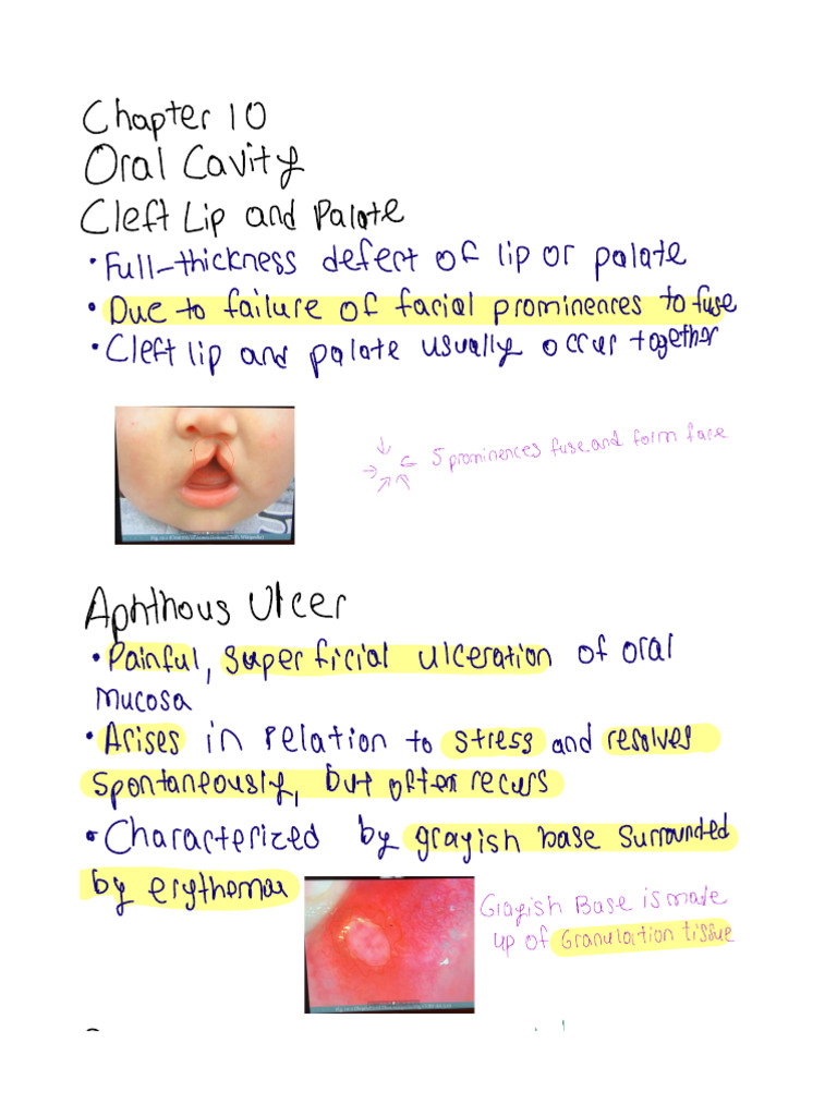 Pathoma 10 Hand Written Notes | PDF | Esophagus | Gastroesophageal ...