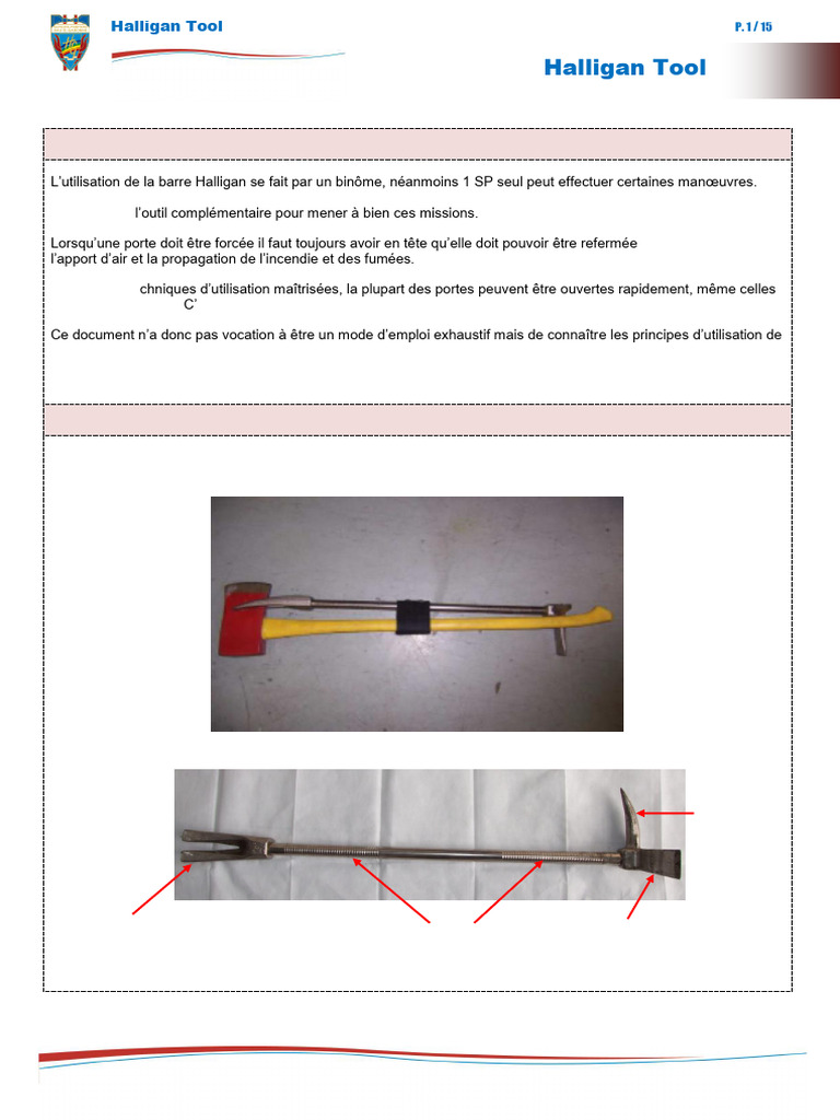 Utilisation de l'outil Halligan | PDF