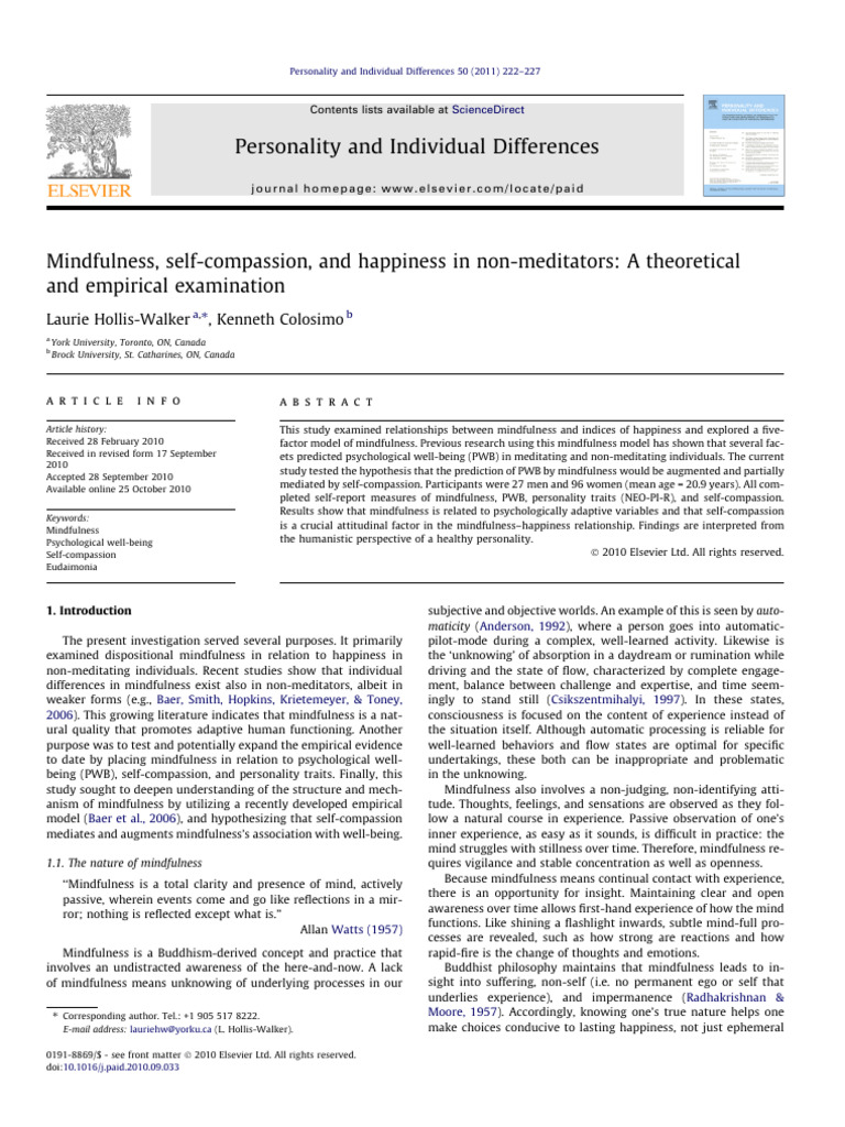 Mindfulness and Self-Compassion's Impact on Happiness | PDF ...