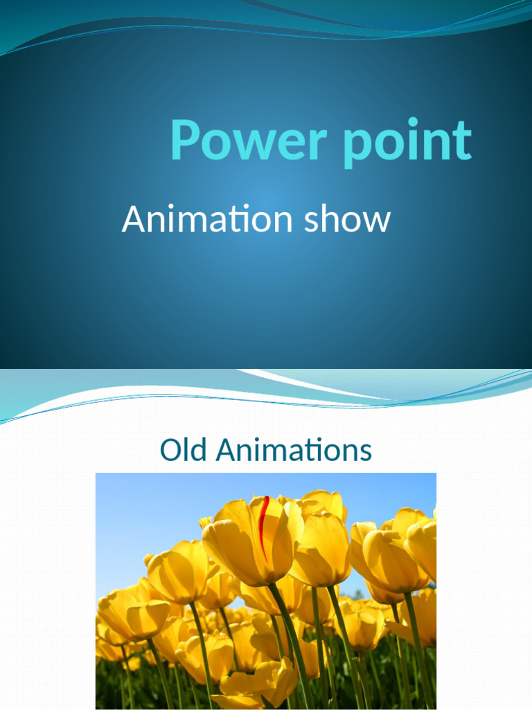 Power Point Slide Show | PDF