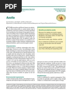 Download azolla by tejass26 SN93742163 doc pdf