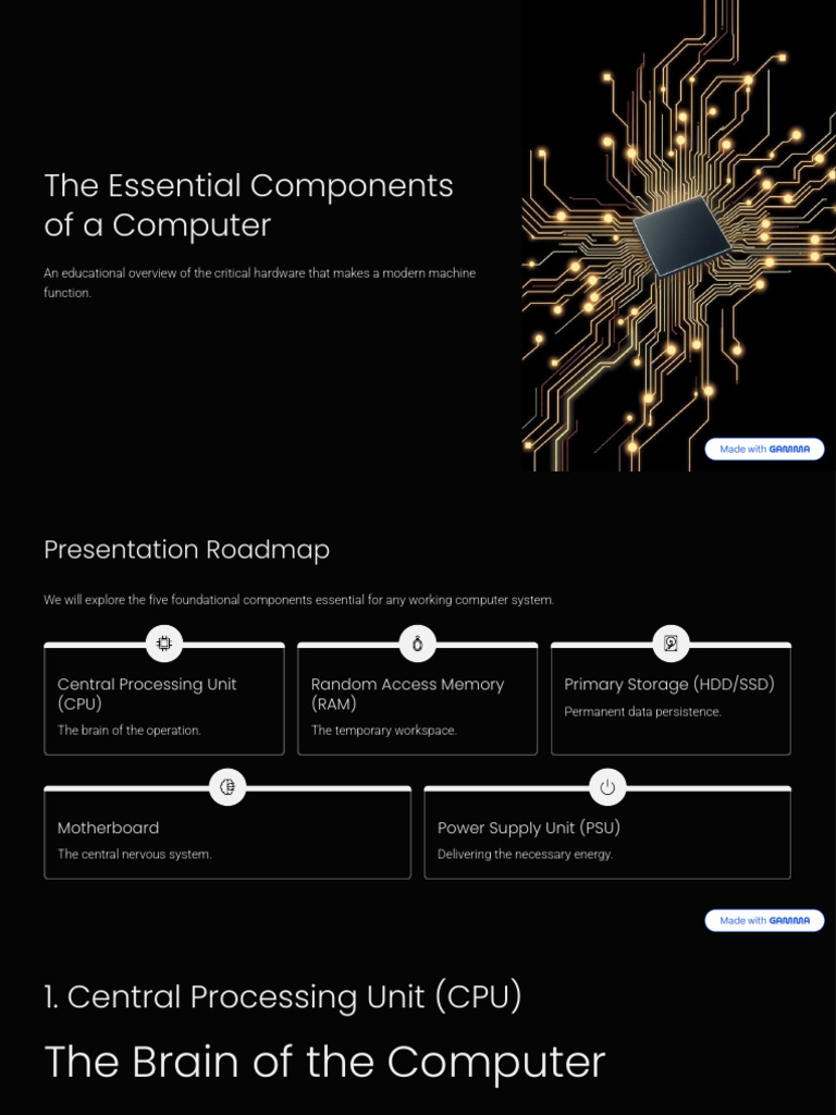Essential Computer Hardware Overview | PDF | Solid State Drive ...