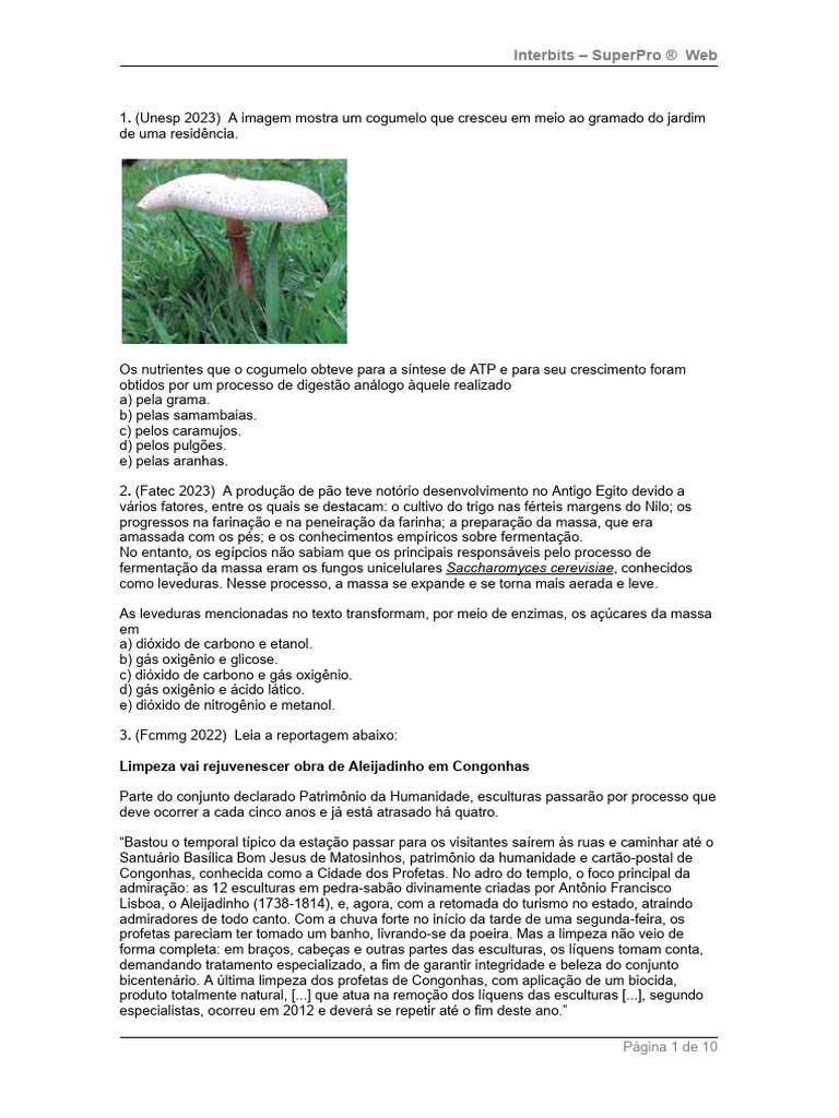 Questões sobre Fungos e Ecologia | PDF | Fungo | Fermento