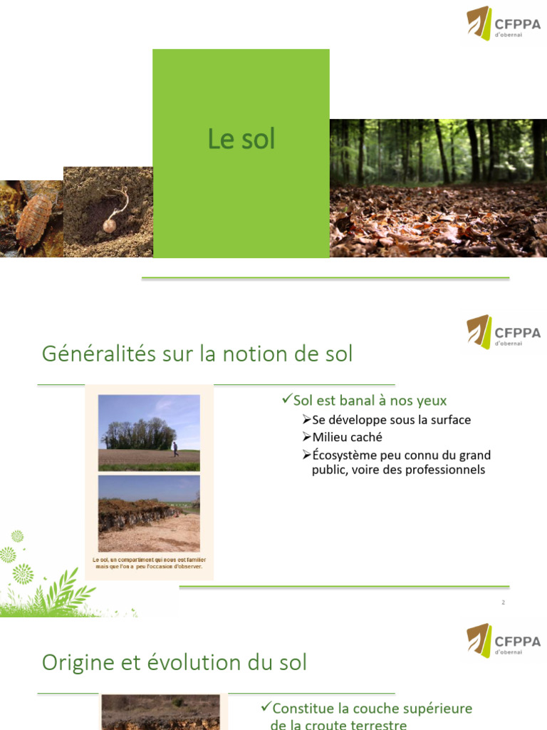 Comprendre l'origine et l'évolution du sol | PDF | Sol (pédologie ...