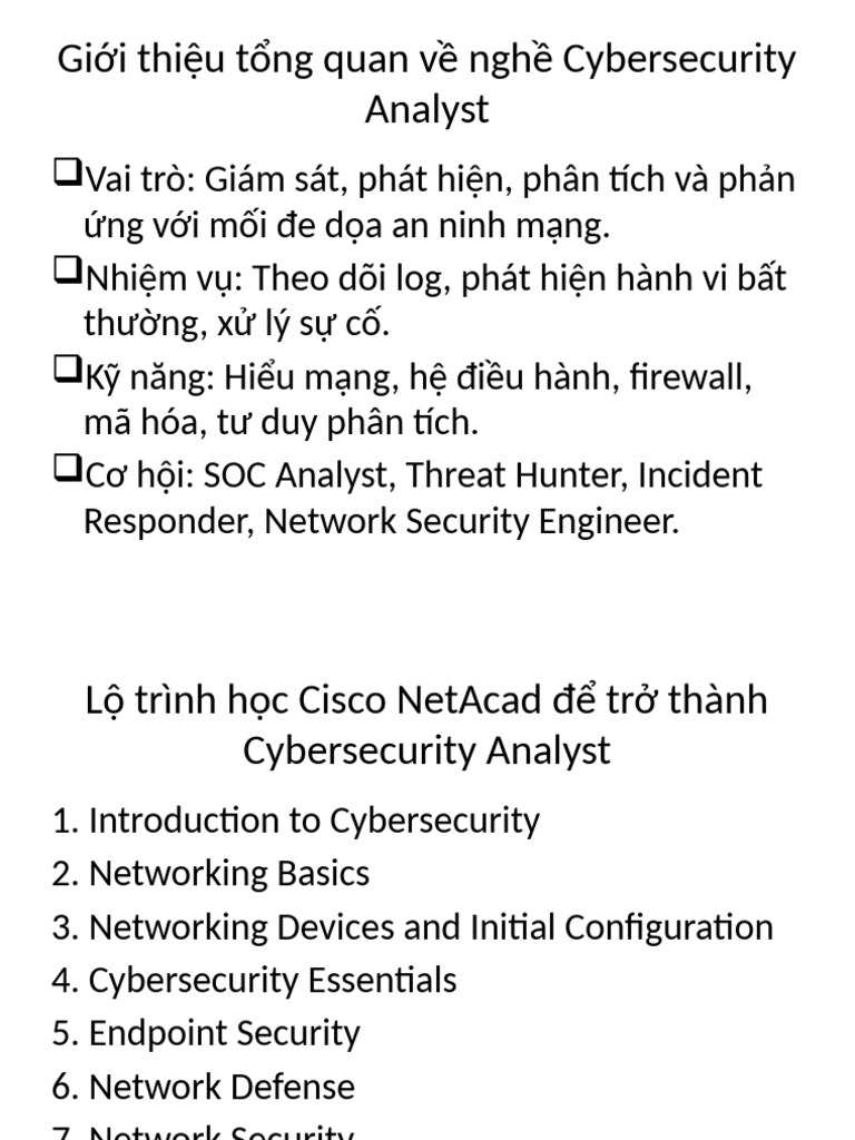 Cybersecurity Analyst Overview 25.10.08 | PDF