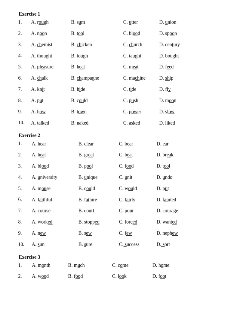 English Grammar Exercises for Beginners | PDF