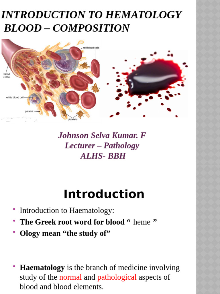 Overview of Blood Composition and Functions | PDF | Blood | White Blood ...