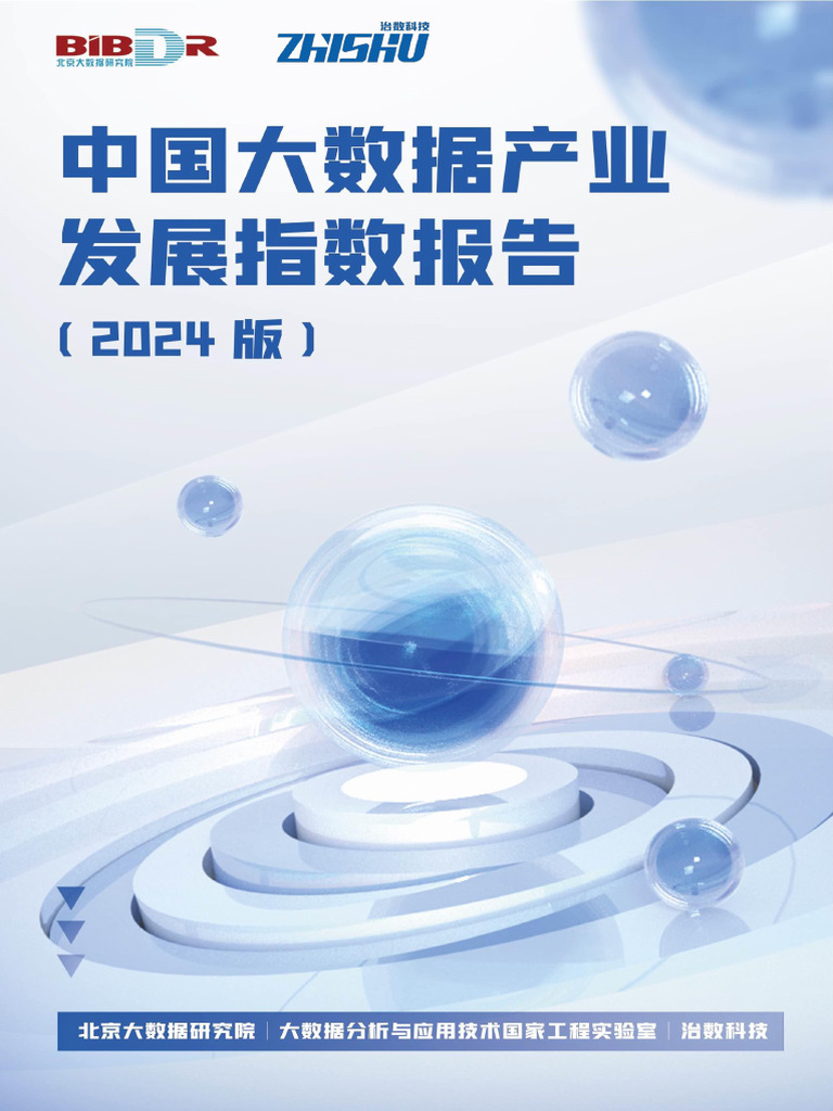 北京大数据研究院：中国大数据产业发展指数报告（2024版） | PDF