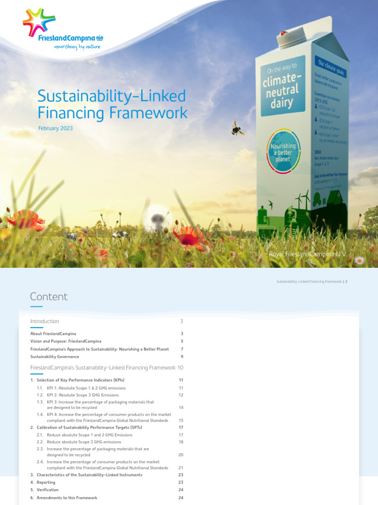 Sust Finan Framew FrieslandCampina v7 | PDF | Sustainability ...