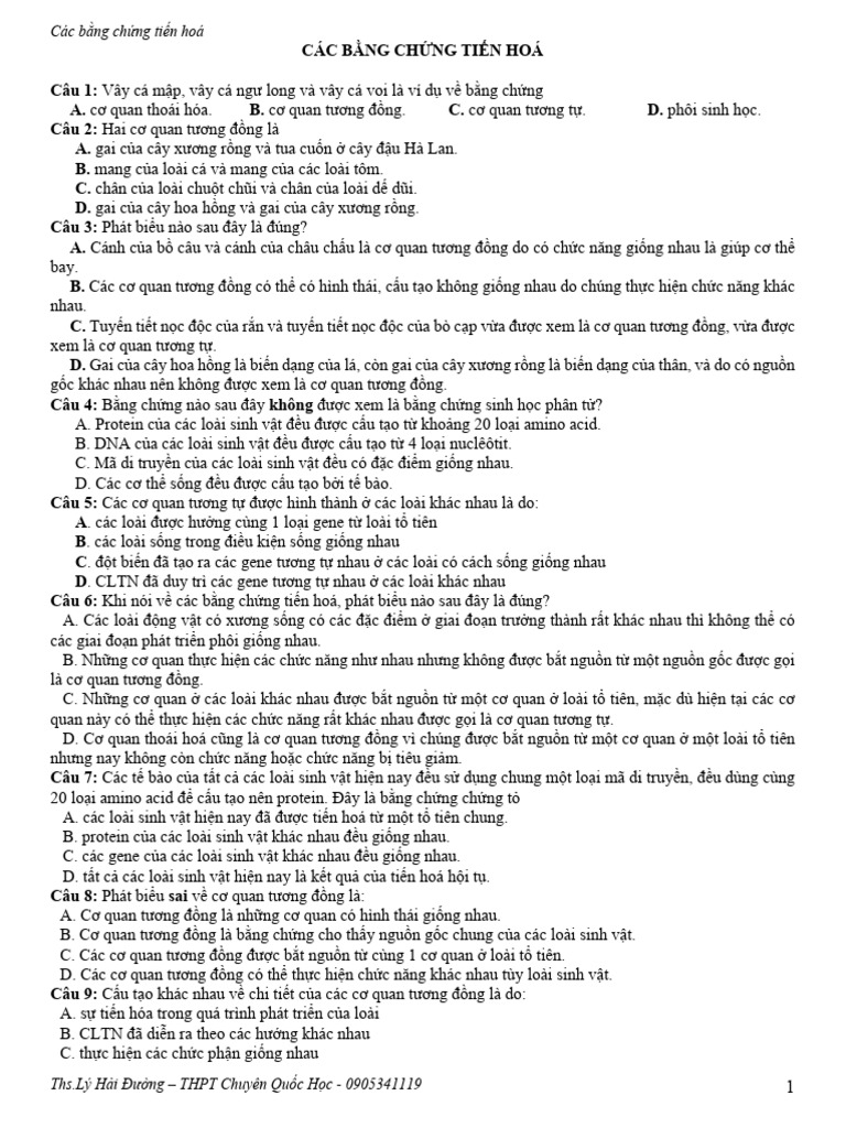 Bang Chung Tien Hoa | PDF