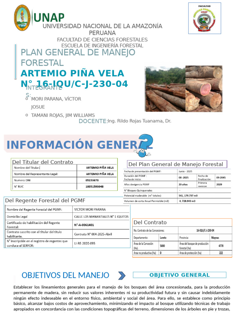 Exposición PGMF | PDF | Los bosques | Ecología