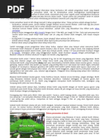 Download Meningkatkan Produksi Padi by subhanbn SN93755289 doc pdf