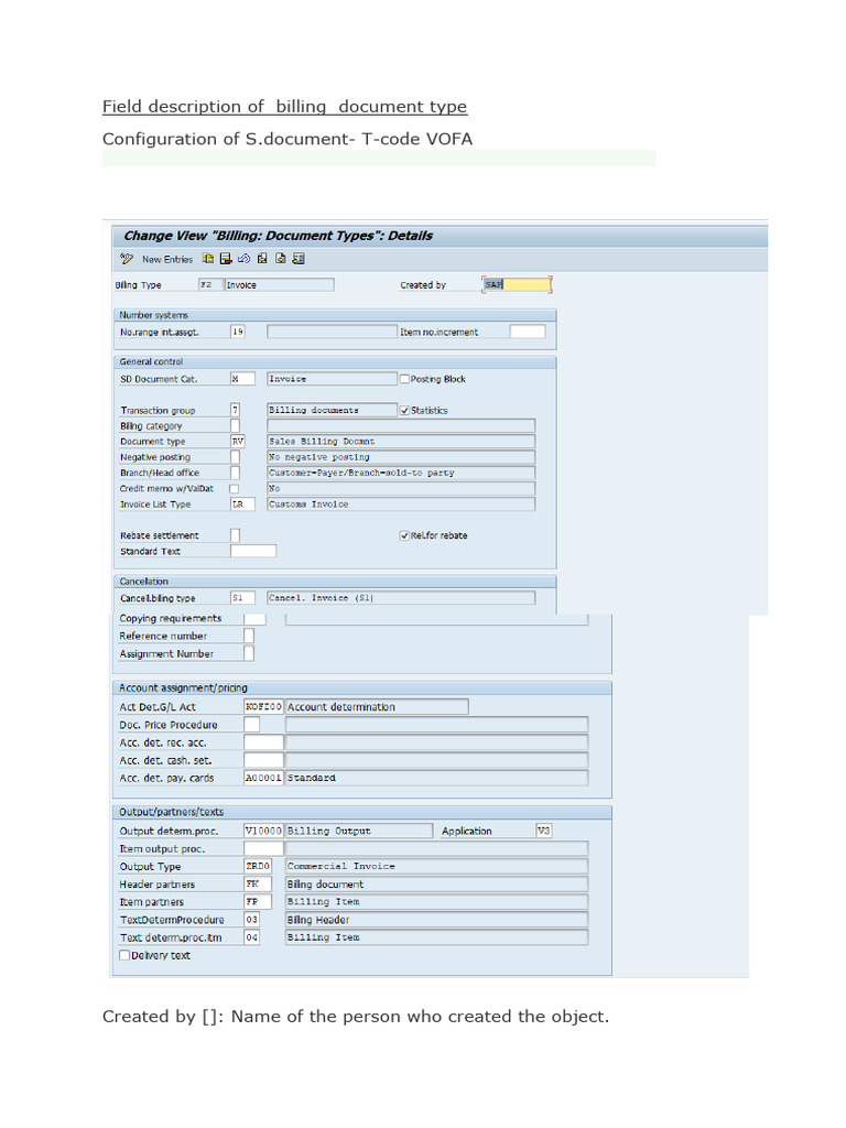 Billing Document Type Configuration Guide | PDF | Invoice | Computing