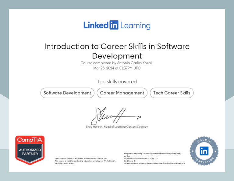 Career Skills in Software Development | PDF