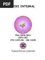 Reiki Integral