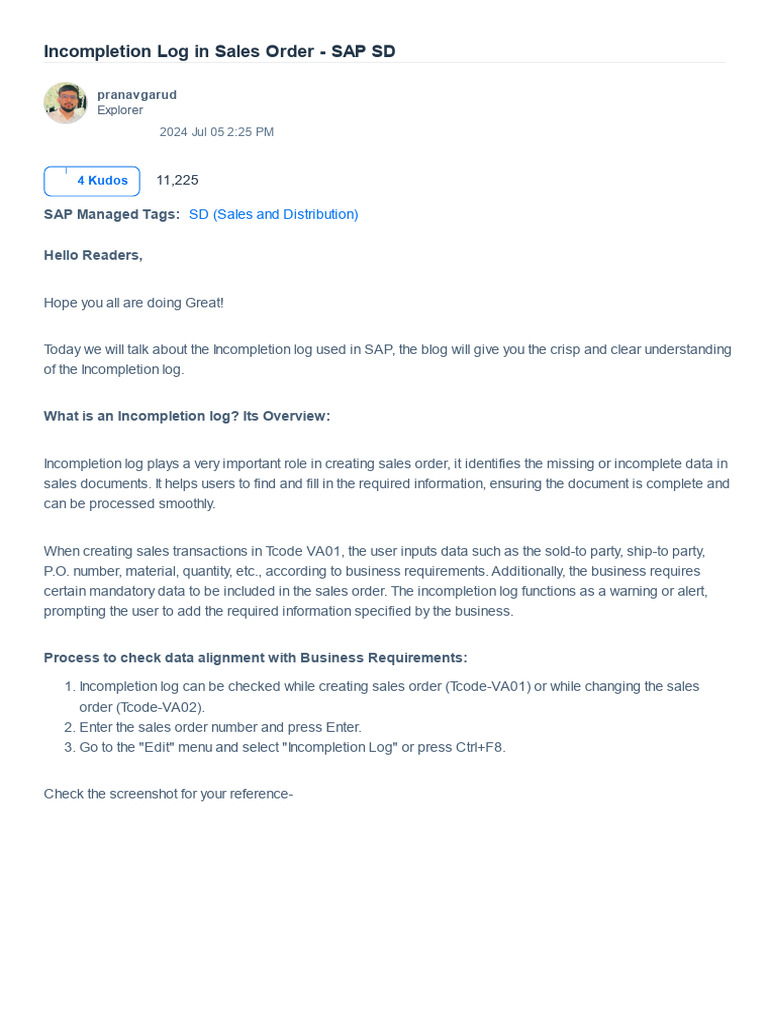 Incompletion Log for SAP Sales Orders | PDF | Computing | Software