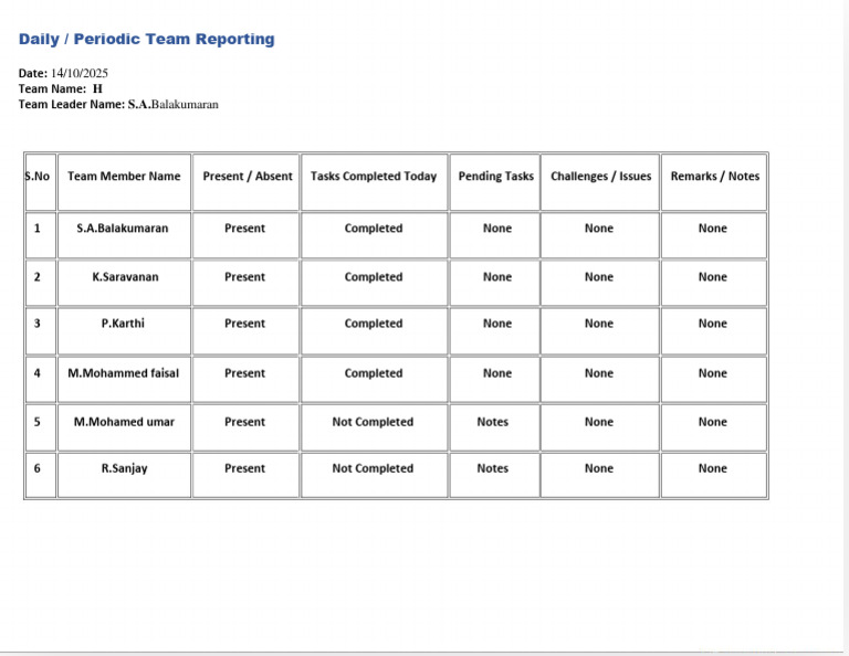Daily Team Reporting Summary | PDF